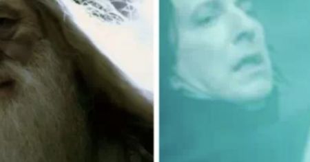 Harry Potter : les 15 memes les plus drôles (partie 2)